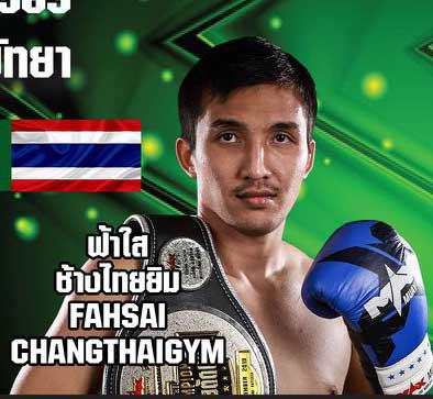 ฟ้าใส ช้างไทยยิม