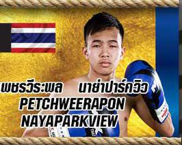 เพชรวีระพล นาย่าปาร์ควิว