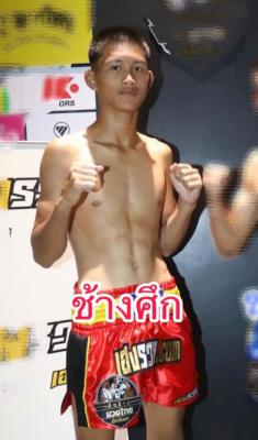ช้างศึก อ.อิทธิพรยิม