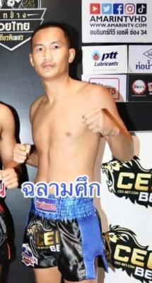 ฉลามศึก ฉลามศึกมวยไทยยิม