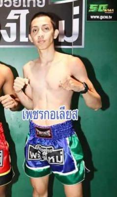 เพชรกอเรียส กอเรียสไฟส์คลับ