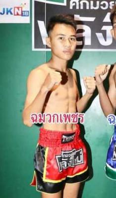 ฉมวกเพชร เกียรติหมู่8