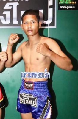 แหวนพลอยเล็ก ศ.เต่าเหล็ก