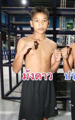 ม้งดาว ช่างจอมพลาซ่า