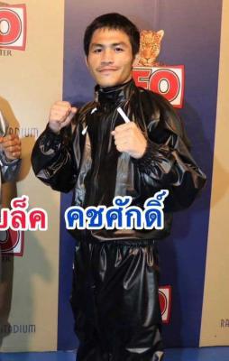 คชศักดิ์ ท่าแซะยาสัตว์