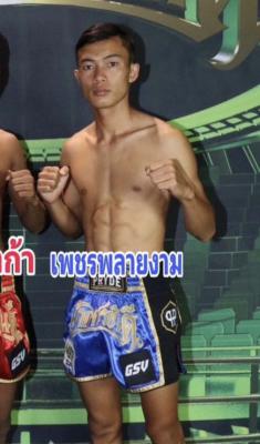 เพชรพลายงาม ช.โชคเจริญ98ฟาร์ม