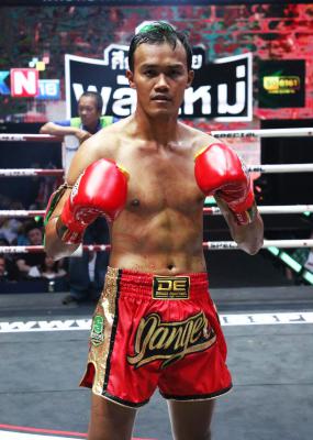 โบวี่ ป.ประจิตรยิม