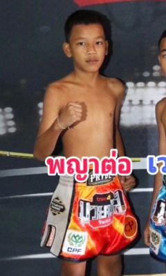 พญาต่อ เพชรนาคา