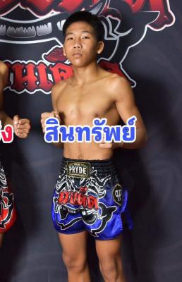 สินทรัพย์ ทิพย์ท่าไม้