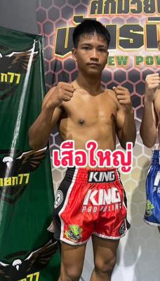 เสือใหญ่ สิงห์สมุยมวยไทย