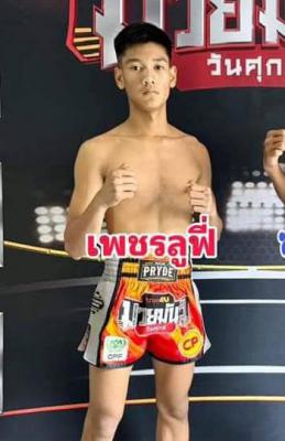 เพชรลูฟี่ ชลบุรีอาร์ตมวยไทย