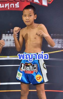 พญาต่อ เพชรนาคา