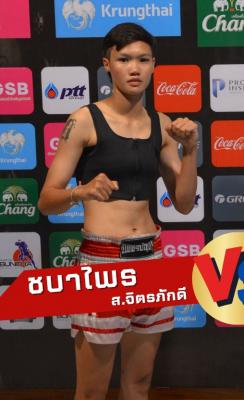 ชบาไพร ส.จิตรภักดี