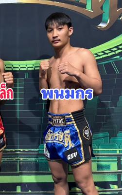 พนมกร พยัคฆ์สิงห์ขร