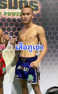 เสือภูเขา เพชรชมพู