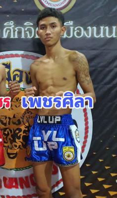เพชรศิลา จิตรเมืองนนท์