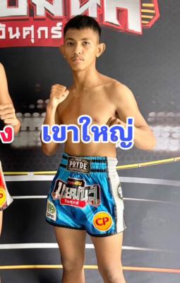 เขาใหญ่ ส.สมควร