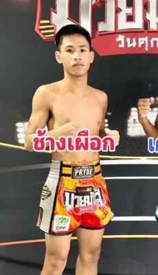 ช้างเผือก ว.อุรชา