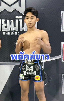พยัคฆ์ขาว ส.บุญยรักษ์