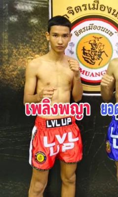 เพลิงพญา ต.แย้มสวน