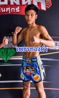 เพชรทองคำ ศิษย์เจ้าพ่อผาแดง