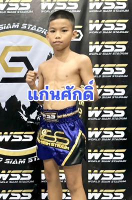 แก่นศักดิ์ ศิษย์ซ้อแต้ว
