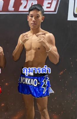 กุมารดำ พุ่มพันธ์ม่วง