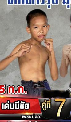 เด่นมีชัย เพชร.ปตอ.