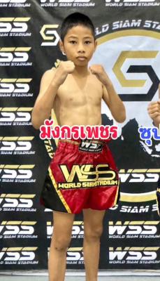 มังกรเพชร เจ้าพ่อมวยเด็ก