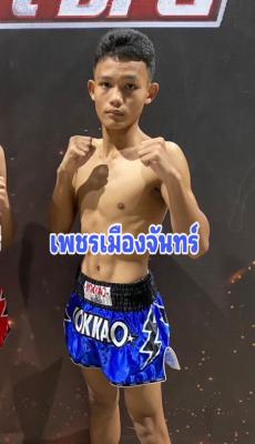 เพชรเมืองจันทร์ ศ.พลอยชาติตระกูล