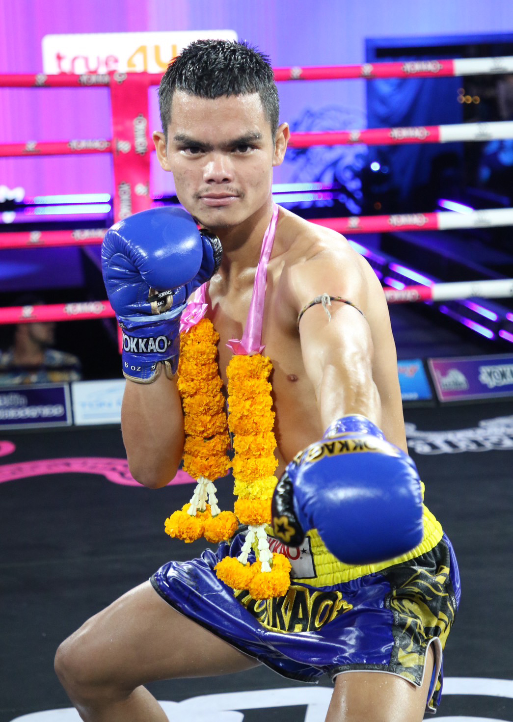 ปากพนัง ต.แย้มสวน