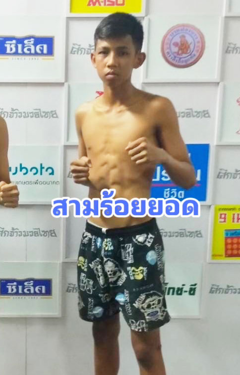สามร้อยยอด สวนอาหารปีกไม้