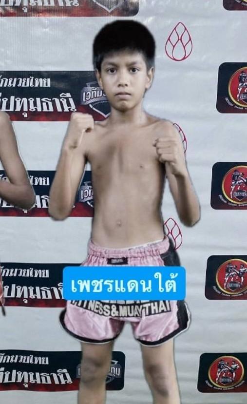 เพชรแดนใต้ สวนอาหารปีกไม้