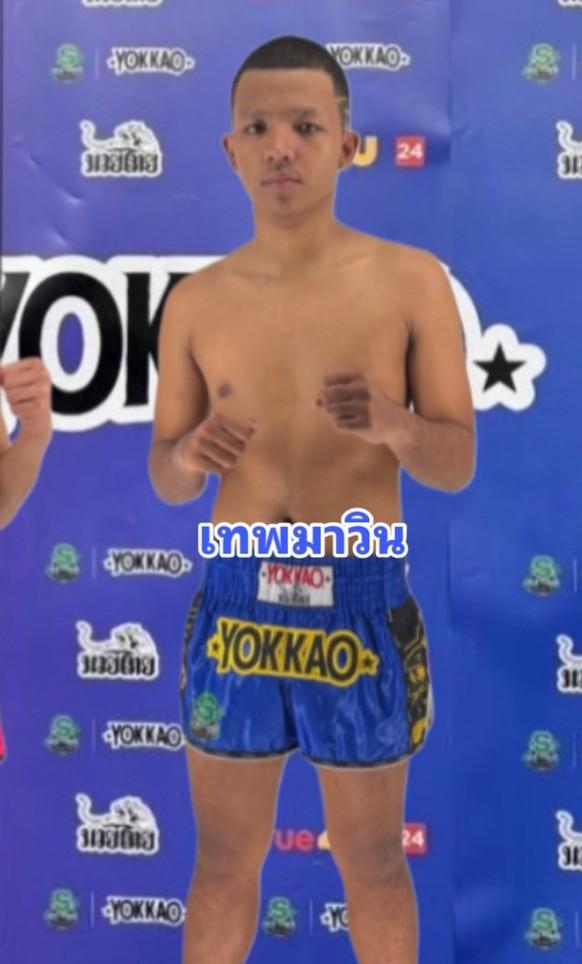 เทพมาวิน ฮอนเนอร์มวยไทย