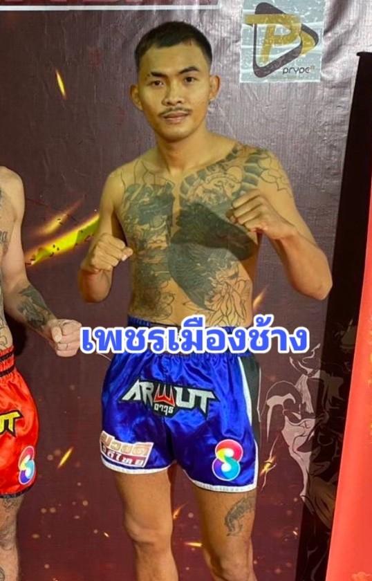 เพชรเมืองช้าง พุ่มพันธ์ม่วง